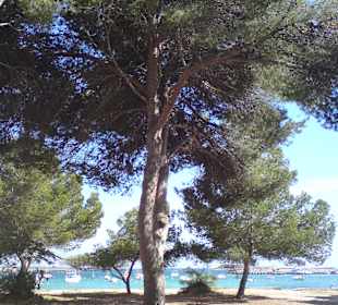 Hafen