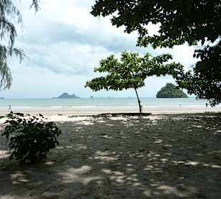 Schatten gibt es hier auch