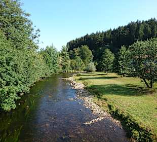 Wandern Bannwald Baiersbronn