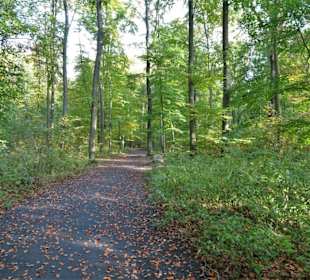 Impressionen aus dem Kurpark Bad Iburg