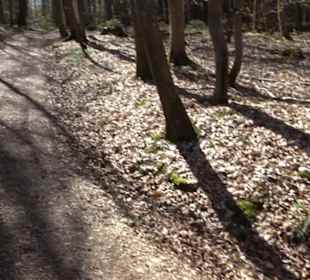 Wanderung Florianrunde