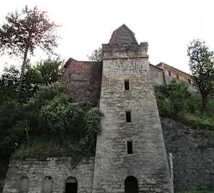 Valea Oltului / Olt-Tal 