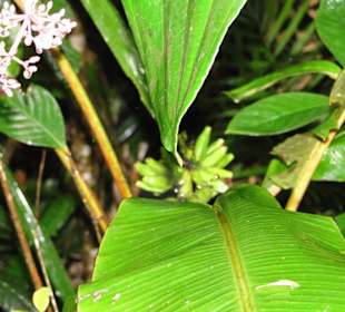 Ausflug Wildfife Expeditions