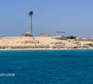 Schnorchelausflug nach Mahmya