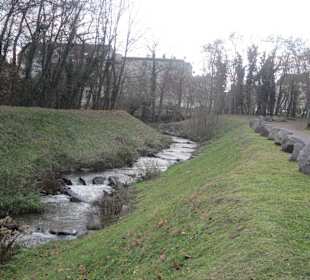 Partie an der Queich