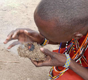 Feuer machen aus Elefantenkot