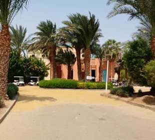 Ausflug El Gouna mit Alex Andra