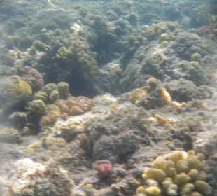 Hotel BEACH Albatros Resort & Spa