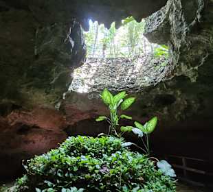 Cenote