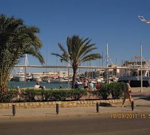 Blick auf Hafen von Eivissa (Ibiza Stadt)