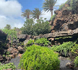 Jameos del Agua Cesar Manrique