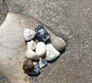 Gesammelte Steine ...