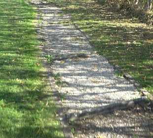 Park Oase der Gesundheit