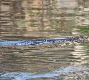 Bootsrundfahrt Lagune Negombo