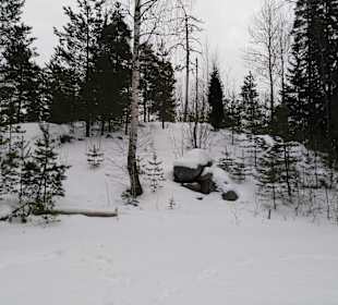 Spaziergang um den Teich