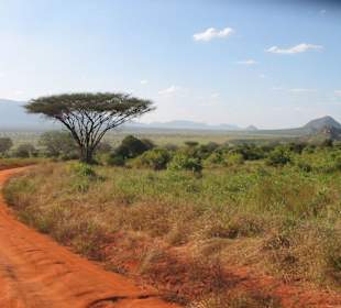 Tsavo East