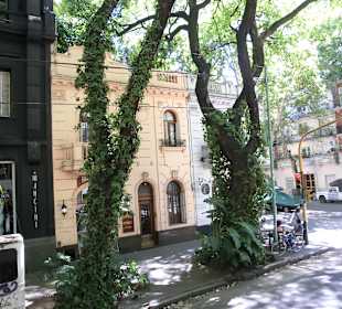 Viel grün in der Stadt