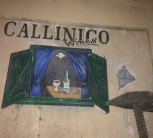 Decoration on the wall - Callinico 