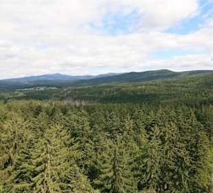 Baumwipfelpfad in Neuschönau