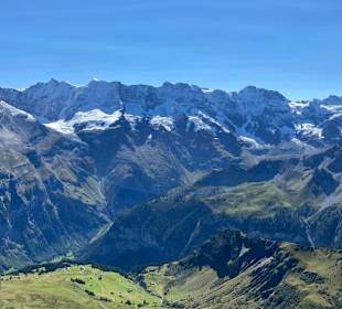 Ausblick 