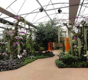 Raffeiner Orchideenwelt