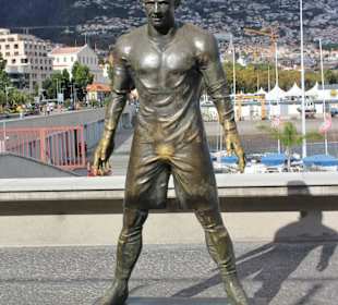 Inselrundfahrt Madeira