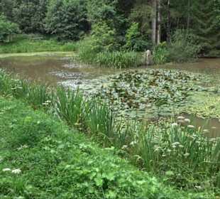 Waldsee Grottenloch Rübgarten