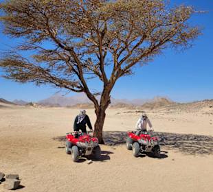 Quad tour 