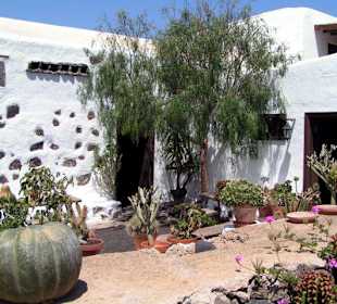 Lanzarote - Jardín de Cactus