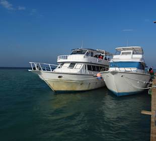 Zurück in El Gouna