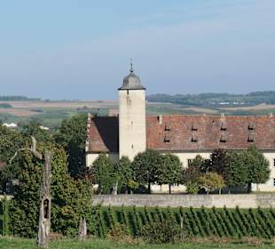 Weinbergswanderung bei Nordheim