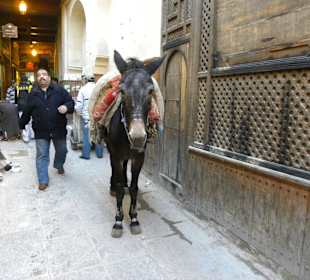 Donkey service