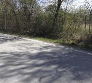 Sport- und Freizeitpark Markwasen