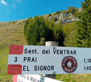 Sonstiges
