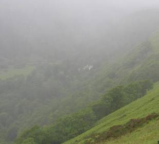 Panorama nella nebbia