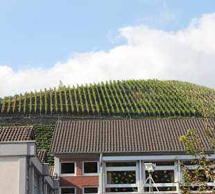 Winzerfest im Dernau 2014