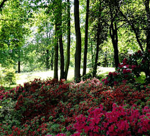 Spaziergang durch die Graftanlagen
