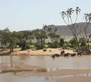 Der Ewaso Nyiro River im Samburu