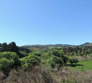 Mit der Taieri Railway durch die Natur Neuselands