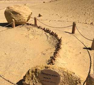 Wadi Hitan-Tal der Wale-Fayoum mit Morgenland 