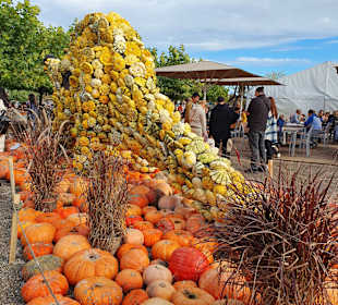 Bauer-Lipp Weiterstadt