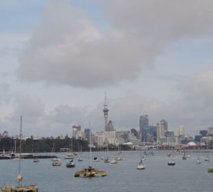 Mit dem Hop on Hop off Bus in Auckland unterwegs