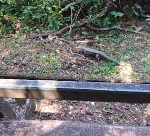 Wasserfälle von Iguazu. Ein Weltwunder
