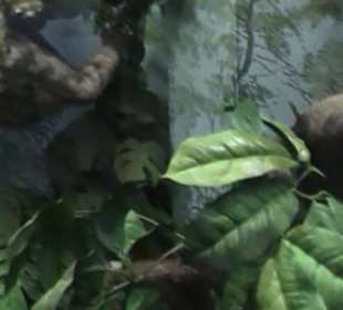 Naturhistorisches Museum