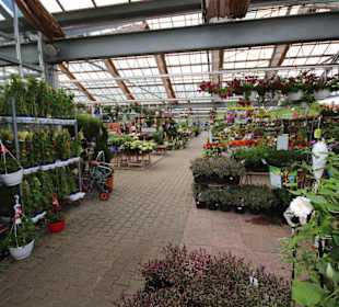 Blumenabteilung