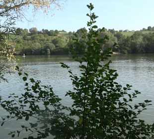 Naherholungsanlage Aileswasensee 