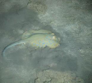 Фото с пирса