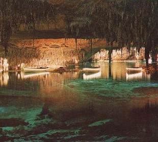 Drachenhöhlen (Nofrills - Excursions)