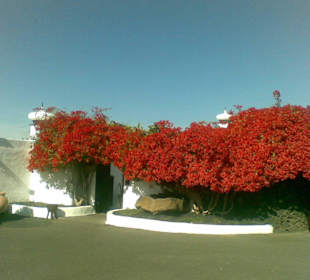 Eingang von Manriques Wohnanlage