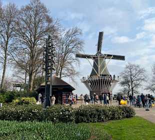 Keukenhof Holland